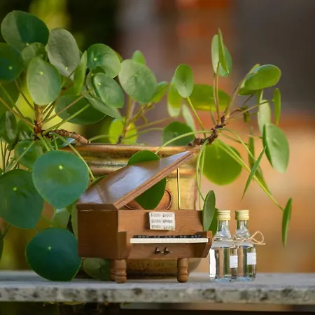 ヴィラ Dom Artysty, Myweek ビストシツァ・クウォツカ